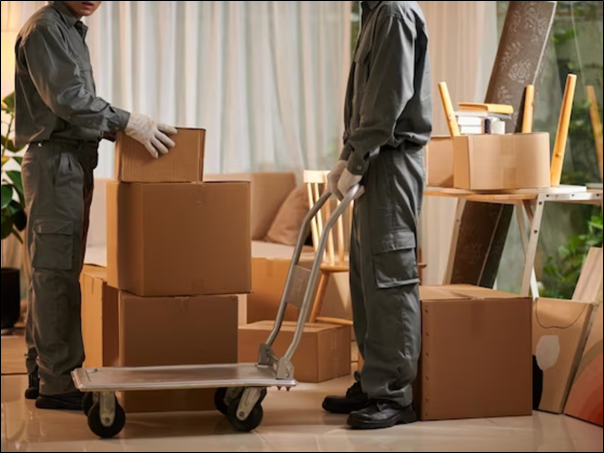 Efficiency and Convenience: The Benefits of Cardboard Removal Services